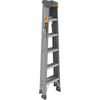 Step Ladder with Paint Tray, 6', Fibreglass, 225 lbs. Capacity, Type 2 Cintas