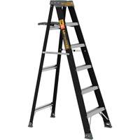 Step Ladder with Paint Tray, 6', Fibreglass, 250 lbs. Capacity, Type 1 Cintas