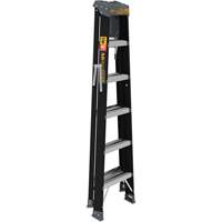 Step Ladder with Paint Tray, 6', Fibreglass, 250 lbs. Capacity, Type 1 Cintas