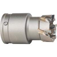 Quick Change Steel Plate Cutter Cintas