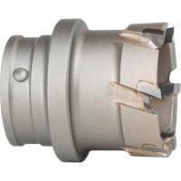 Quick Change Steel Plate Cutter Cintas