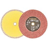 QUICK-STEP FLEX, 5" x Type 29, 40 Grit, Aluminum Oxide Cintas