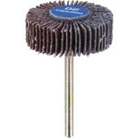 3/8" Flapwheel Sanding Bit - 80 Grit Cintas