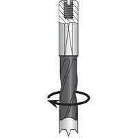 Dowel Drill, Carbide Cintas