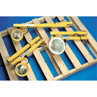 Dock Lights, 60" Arm, Incandescent Lamp, Metal Cintas
