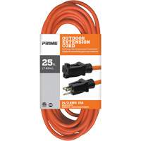 Vinyl Extension Cord, Outdoor, SJTW, 14/3 AWG, 15 A, 25' Cintas