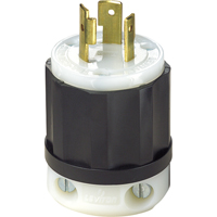 Locking Plugs