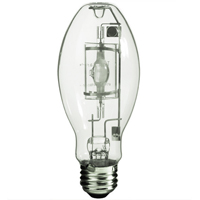 Work Light Bulb Cintas