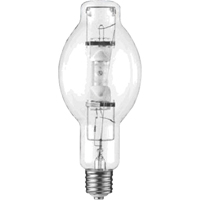 Ampoules de rechange Cintas