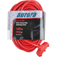 Vinyl Extension Cord, Outdoor, SJTW, 12/3 AWG, 15 A, 3 Outlet(s), 100' Cintas