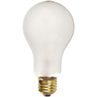 Economy Line Incandescent Lamps Cintas