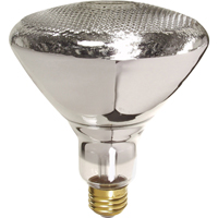 Economy Line Incandescent Lamps Cintas