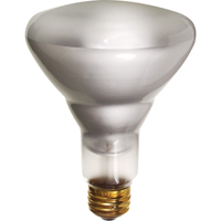 Economy Line Incandescent Lamps Cintas