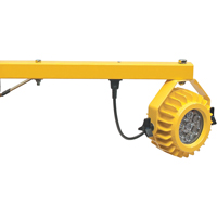Heavy-Duty Loading Dock Lights, 24" Arm, 300 W, LED Lamp, Metal Cintas