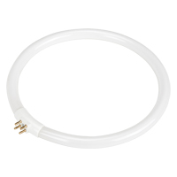 Replacement Fluorescent Bulb for Rhinomag Illuminated Magnifiers, 22 W Cintas