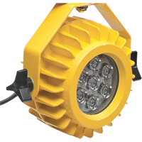 Heavy-Duty LED Dock Light - Head Only Cintas