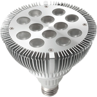Dock Lights - Accessories, PAR38 Cintas
