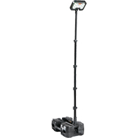 9490 Remote Area Lighting Systems, LED, 53.3 W, 6000 Lumens, Plastic Housing Cintas