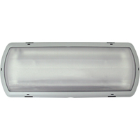 Luminaire de secours Tempesta, Plastique, DEL, 120 - 347 V Cintas
