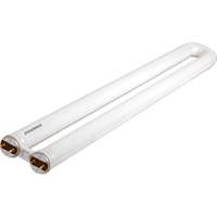 OCTRON&reg; 800 CURVALUME Fluorescent Lamps, 31 W, T8 U-Shaped, 4100 K, 22.5" Long Cintas