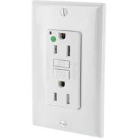 SmartlockPro&reg; Extra Heavy-Duty Self-Test GFCI Receptacle Cintas