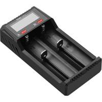 Chargeur de batterie intelligent &agrave; double canal ARE-D2 Cintas