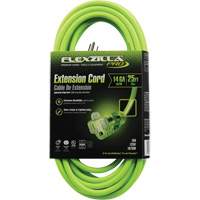 Cordon rallonge industriel Flexzilla Pro, Toutes saisons, SJTW, AWG 14/3, 15 A, 25' Cintas
