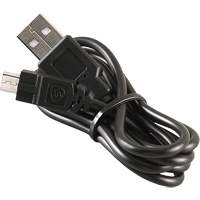 USB-C Cable Cintas