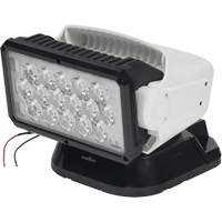 Projecteur orientable polyvalent &agrave; t&eacute;l&eacute;commande, DEL, 4250 lumens Cintas