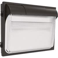 TWX3 Wall Luminaire, LED, 347 V, 14" H x 18" W x 5" D Cintas