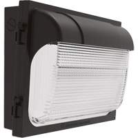 TWX Wall Luminaire, LED, 480 V, 9 W - 54 W, 14" H x 18" W x 5" D Cintas