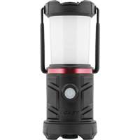Lanterne de zone d'urgence EAL13 Cintas