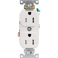 Duplex Receptacle Cintas