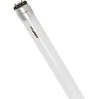 SubstiTUBE&reg; Frosted Glass LED Bulb, 12 W, T8, 5000 K, 48" L Cintas