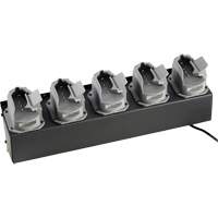 Chargeur de batteries de lampe de poche Survivor X Cintas