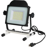Floodlight, LED, 100 W, 10000 Lumens Cintas