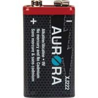 Industrial Alkaline Batteries, 9 V Cintas