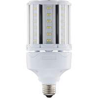Ampoule HID de remplacement s&eacute;lectionnable ULTRA LED, E26, 18 W, 2700 lumens Cintas