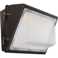 Non-Cutoff Wall Pack, LED, 120 - 277 V, 75 - 110 W, 9.33" H x 6.65" W x 14.5" D Cintas