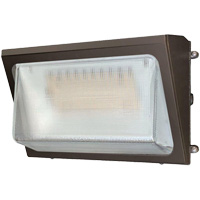Wall Pack Light Fixture, LED, 120 -347 V, 40 W Cintas