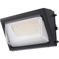 Wall Pack Light Fixture, LED, 120 -347 V, 80 W Cintas