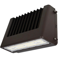 Wall Pack Light Fixture, LED, 120 V, 80 W, 6.5" H x 9.3" W x 14.4" D Cintas