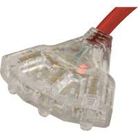 Generator Extension Cord with Tritap, STW, 10 AWG, 3 Outlet(s), 25' Cintas