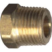 Hex Head Cored Plug, Pipe, 1/8" Dia., Brass Cintas