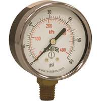 Economy Pressure Gauge, 2-1/2" , 0 - 60 psi, Bottom Mount, Analogue Cintas